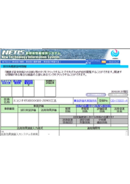 NETIS